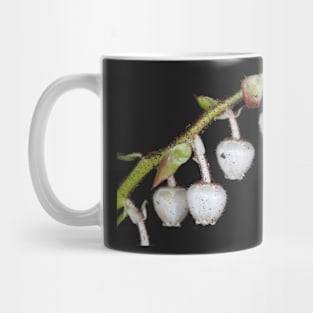 Salal flowers Mug